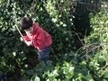IMG_5096.jpeg