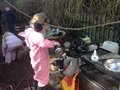 IMG_5101.jpeg