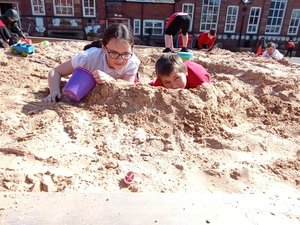 IMG_20250403_121336567.jpg