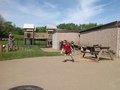IMG_7573.JPG