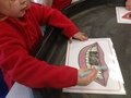 IMG_7700.JPG