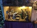 IMG_4566.JPG