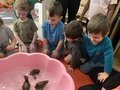 IMG_0811.JPG