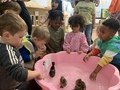 IMG_0821.JPG