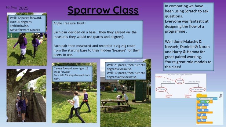 Sparrow 9.5. 25 1.jpg