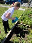 planter 6.jpg