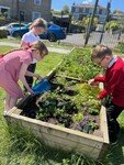 planter 5.jpg