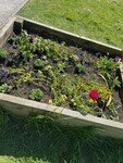 planter 3.jpg