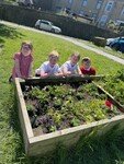 planter 2.jpg