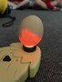 eggs 3.jpg