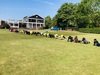 IMG_2481.jpeg
