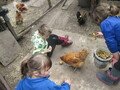 IMG_2929.JPG