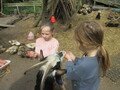 IMG_2940.JPG