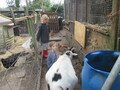 IMG_2945.JPG
