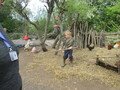 IMG_2947.JPG