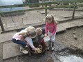 IMG_2949.JPG