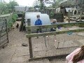 IMG_2951.JPG