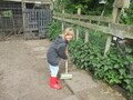 IMG_2956.JPG