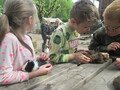 IMG_2959.JPG
