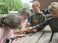 IMG_2960.JPG
