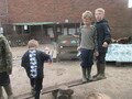 IMG_2965.JPG