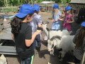 IMG_3018.JPG