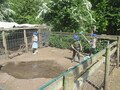 IMG_3020.JPG