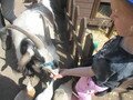 IMG_3021.JPG