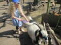 IMG_3022.JPG