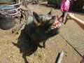 IMG_3030.JPG