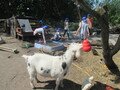 IMG_3034.JPG