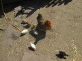 IMG_3053.JPG