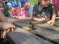 IMG_3071.JPG