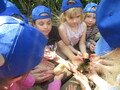 IMG_3076.JPG