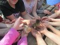 IMG_3077.JPG