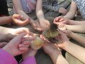 IMG_3078.JPG
