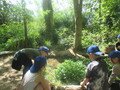 IMG_3104.JPG