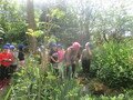 IMG_3111.JPG