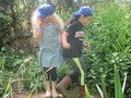 IMG_3132.JPG