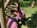8A936C42-718B-4524-92CB-04835D17AC87.jpeg