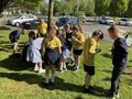 IMG_2891.JPG
