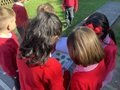 IMG_0194.jpg