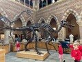 dinosuars.jpg
