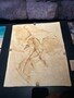 pterasaur.jpg
