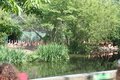 IMG_7794.JPG
