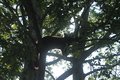 IMG_7796.JPG