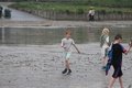 IMG_7863.JPG