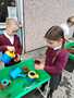 IMG-20250509-WA0008.jpg