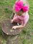 IMG-20250514-WA0004.jpg