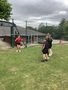 IMG_2313.jpeg